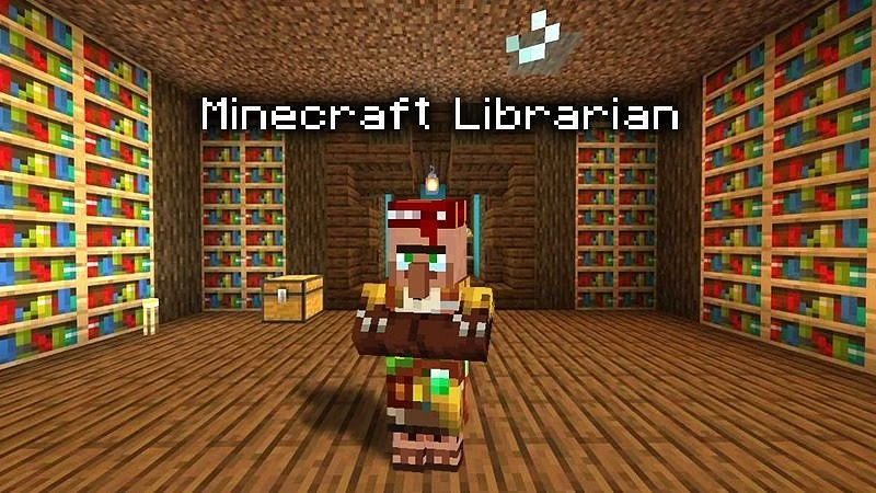 Minecraft librarian