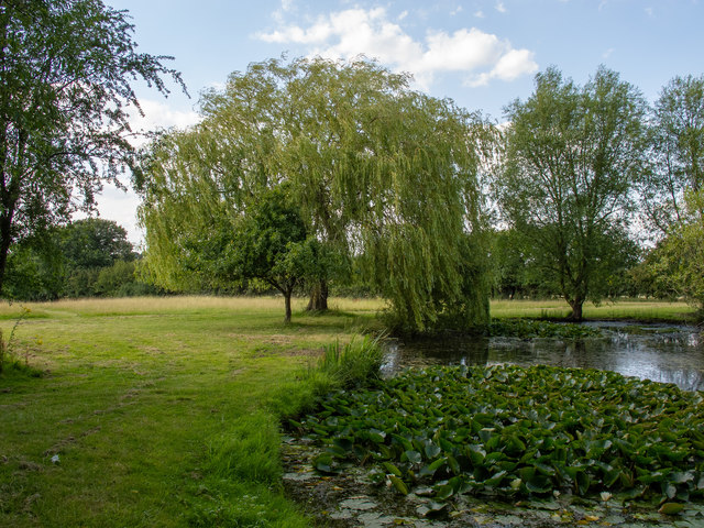 Willow Tree Farm